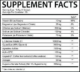 Chaotic Pump by Mad House Innovations