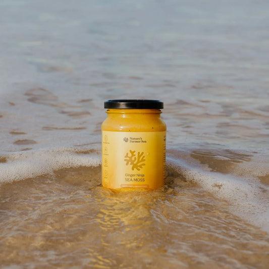 Sea Moss Gel - Ginger Ninja